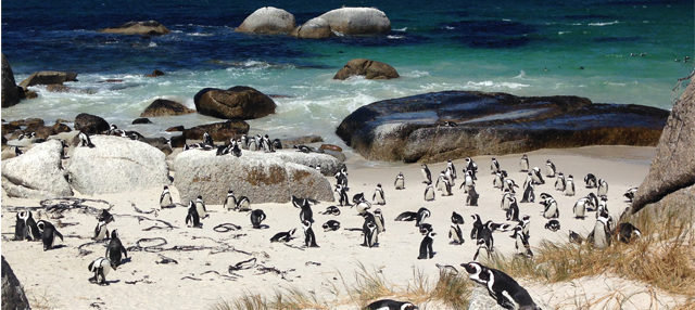Bolder's beach