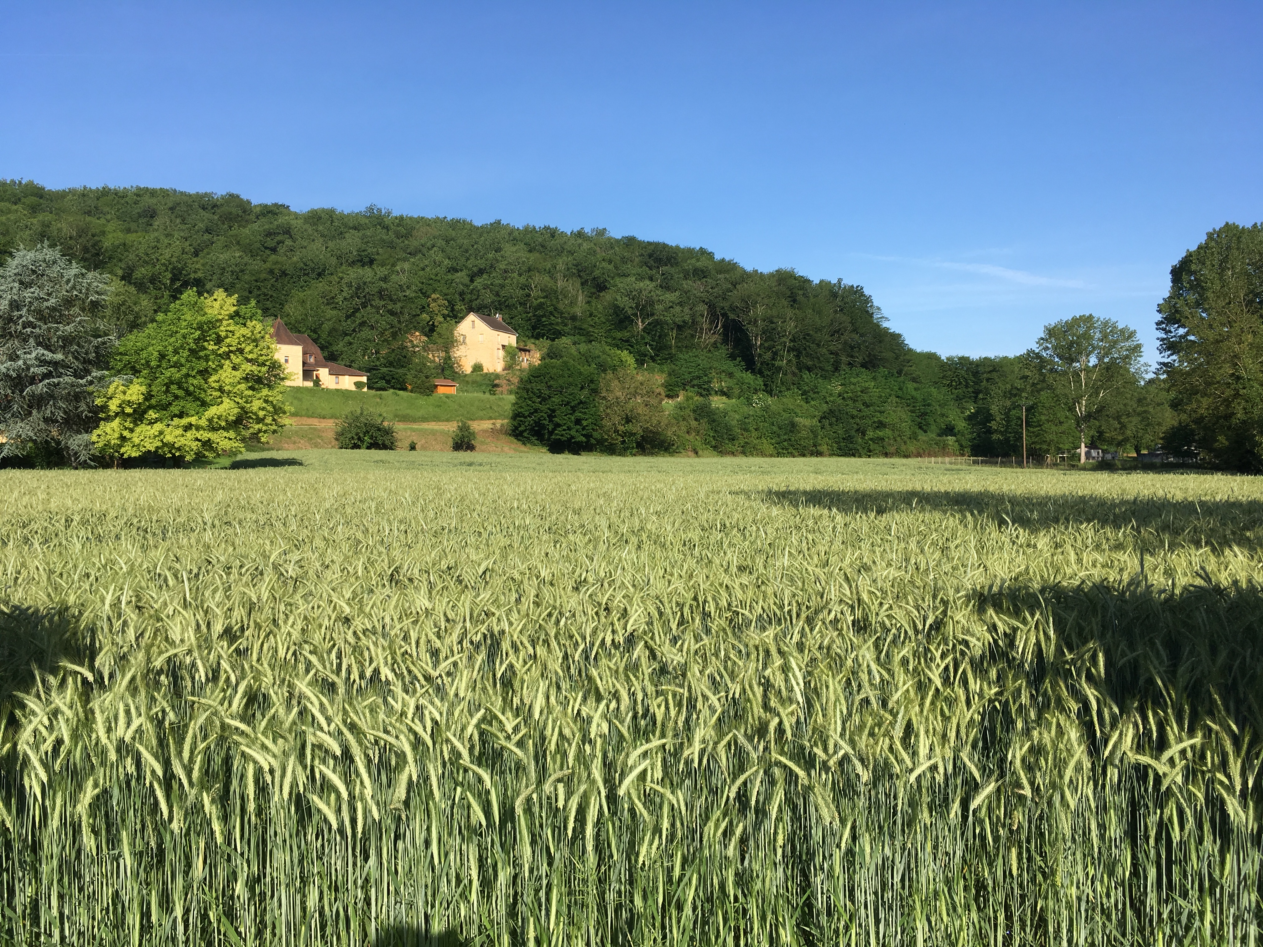Dordogne