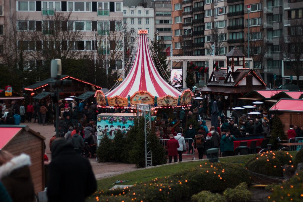 Winter in het park