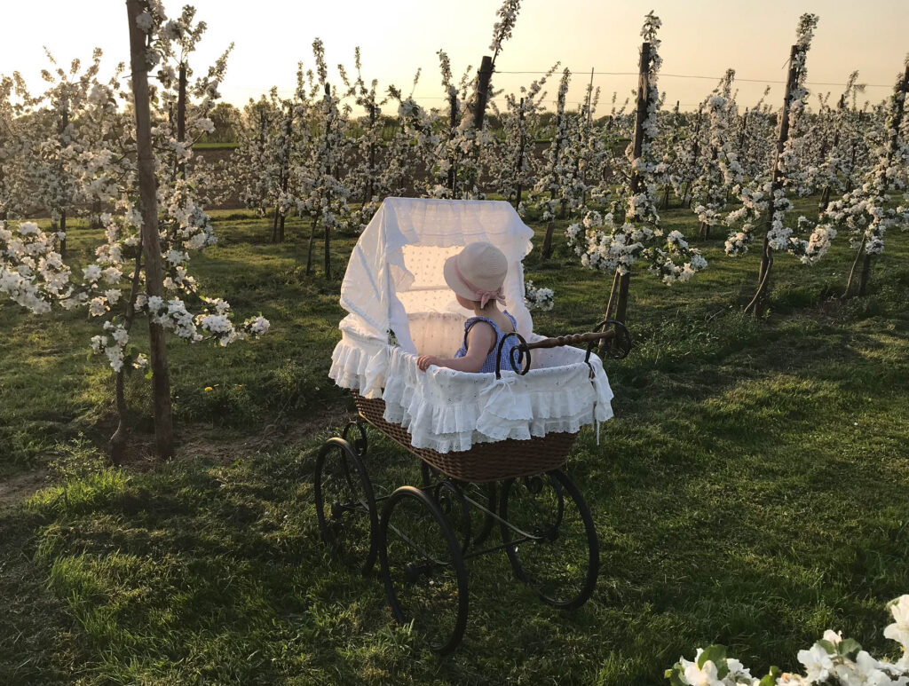 zwangerschapsaankondiging