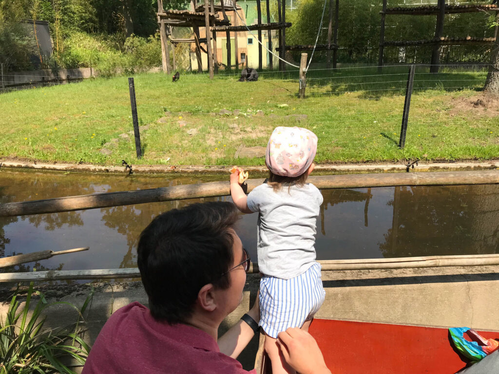 Kindvriendelijk citrytrippen in Mechelen