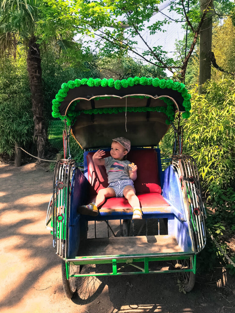 Kindvriendelijk citrytrippen in Mechelen