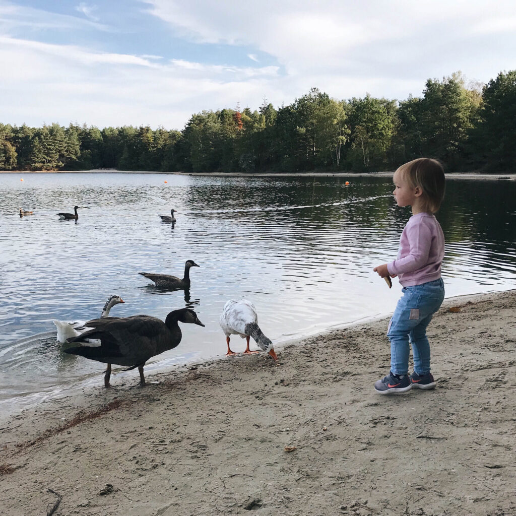 Center Parcs Vossemeren