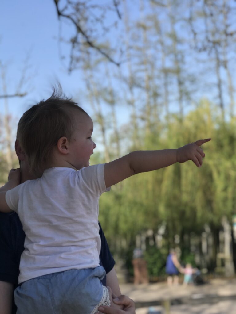 Pairi Daiza review 
