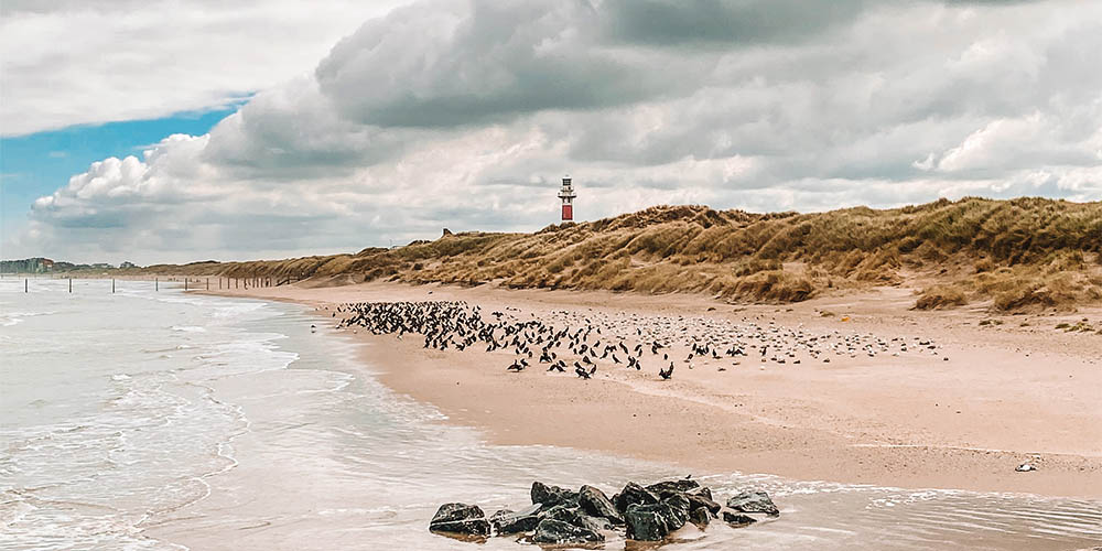 Ibis Styles Nieuwpoort