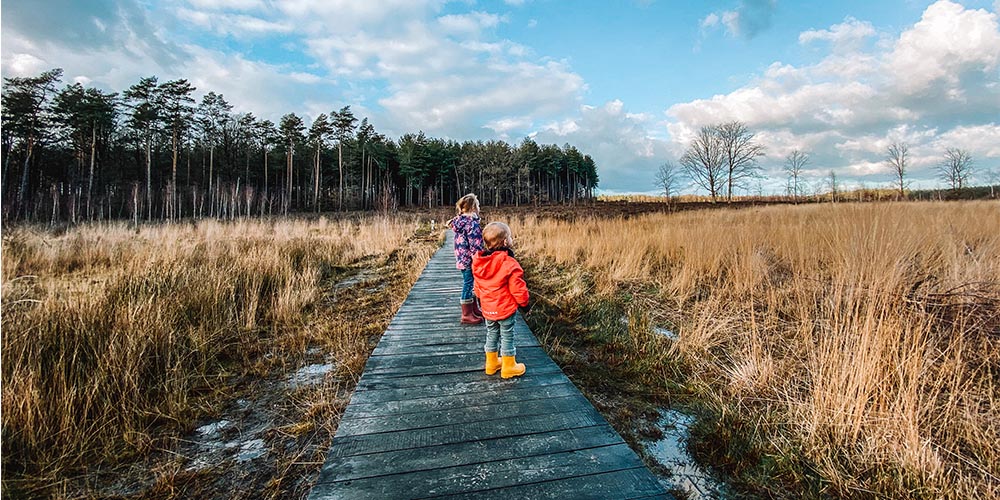 averbode heide en bos